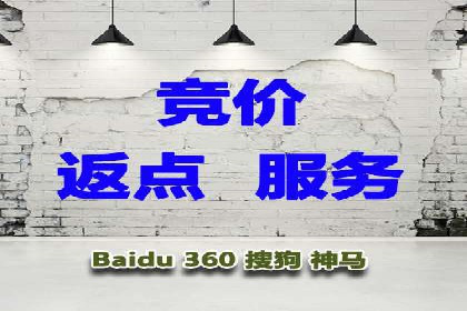 案例分享：竞价代运营助力企业增长